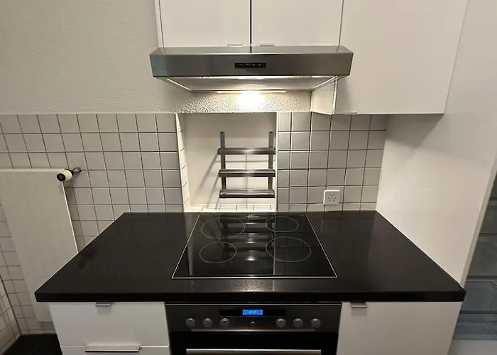 Wunderschoene Gartenwohnung In Zuerich