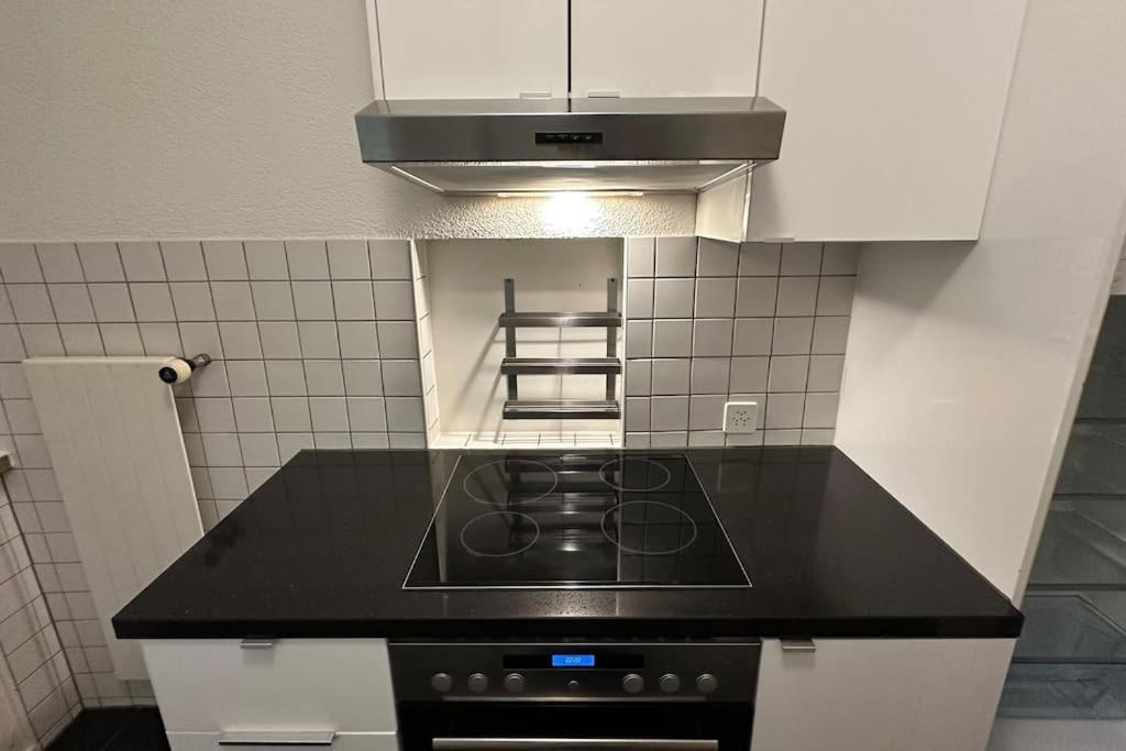 Wunderschoene Gartenwohnung In * Zurich