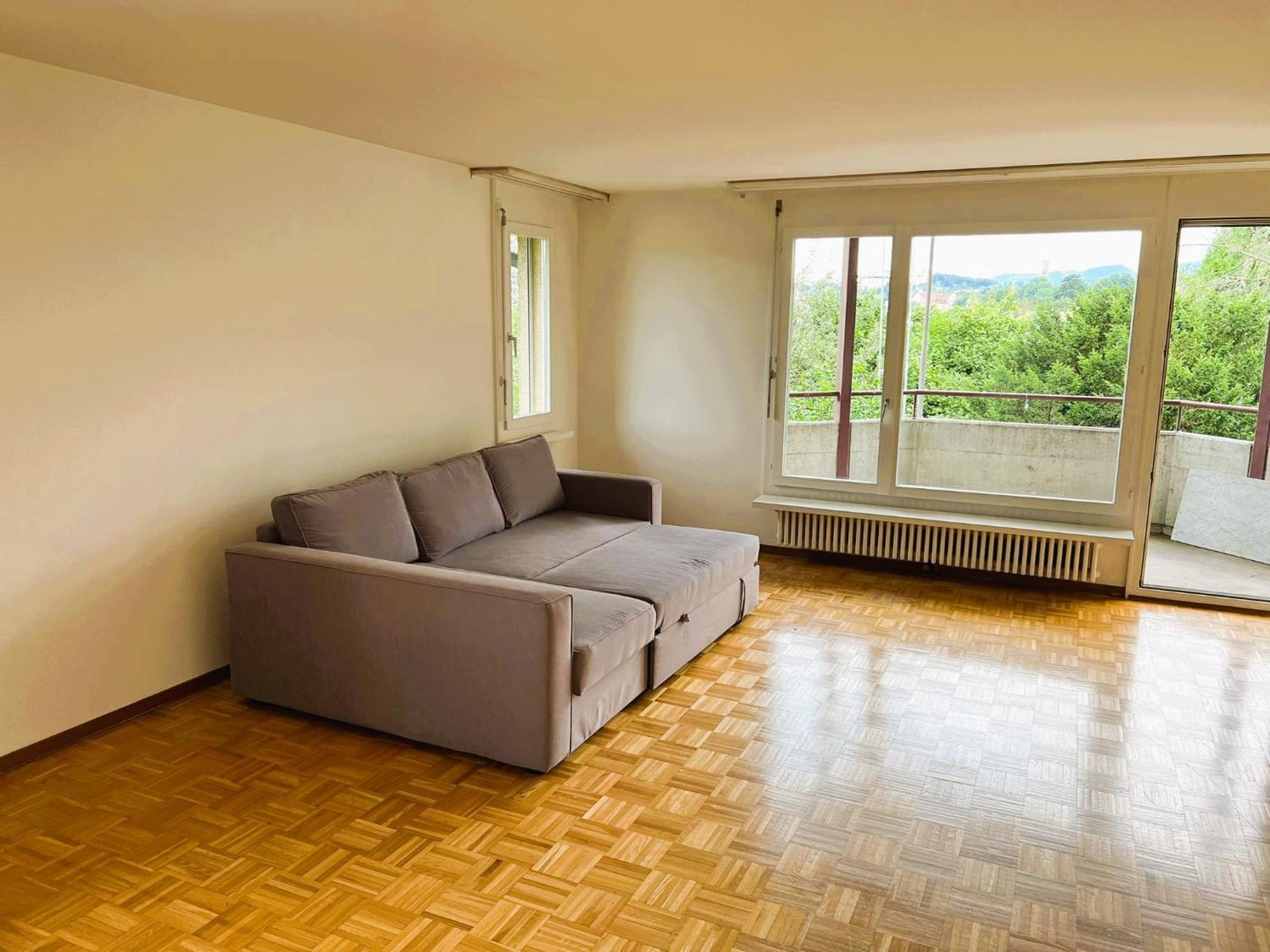 Apartment 4 Flat - 3 Bedroom, Balcony With View Hwa5 Zurich