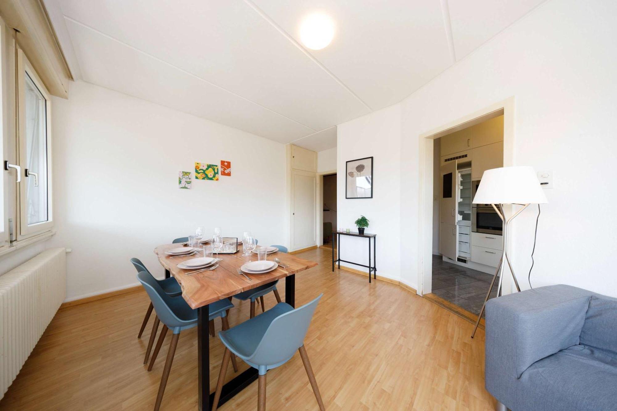 Spacious Huge Terrace & Views Apartment Zurich