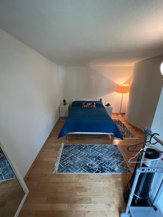 Get Cozy Flat Apartment Zurich