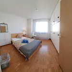 Hsh Oerlikon - Splendid 3 Bedroom Apartment Over 110 M2 With Balcony By Hsh Hotel Serviced Home