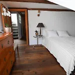 Rooftop Historical Apartment Zurich