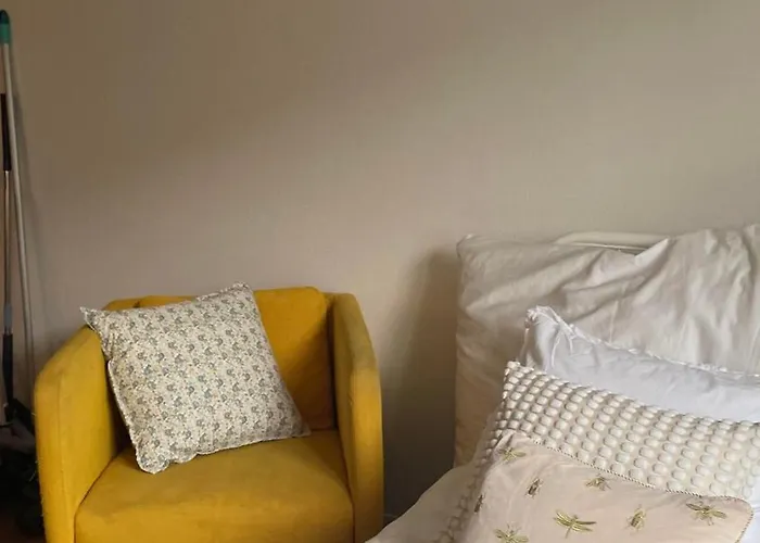 Taylor Swift Apartment - 20 Mins From Concert