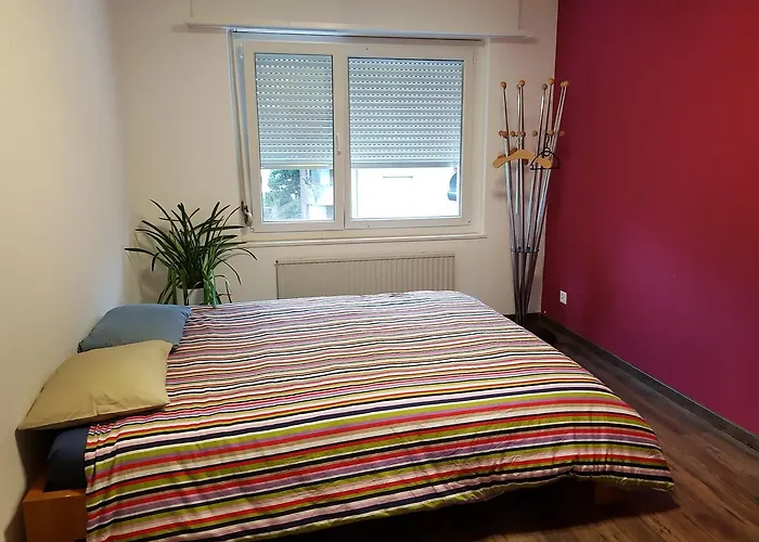Homestay Zurich