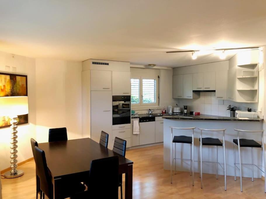 Centrally Located, Spacious Modern Apartment Zurich