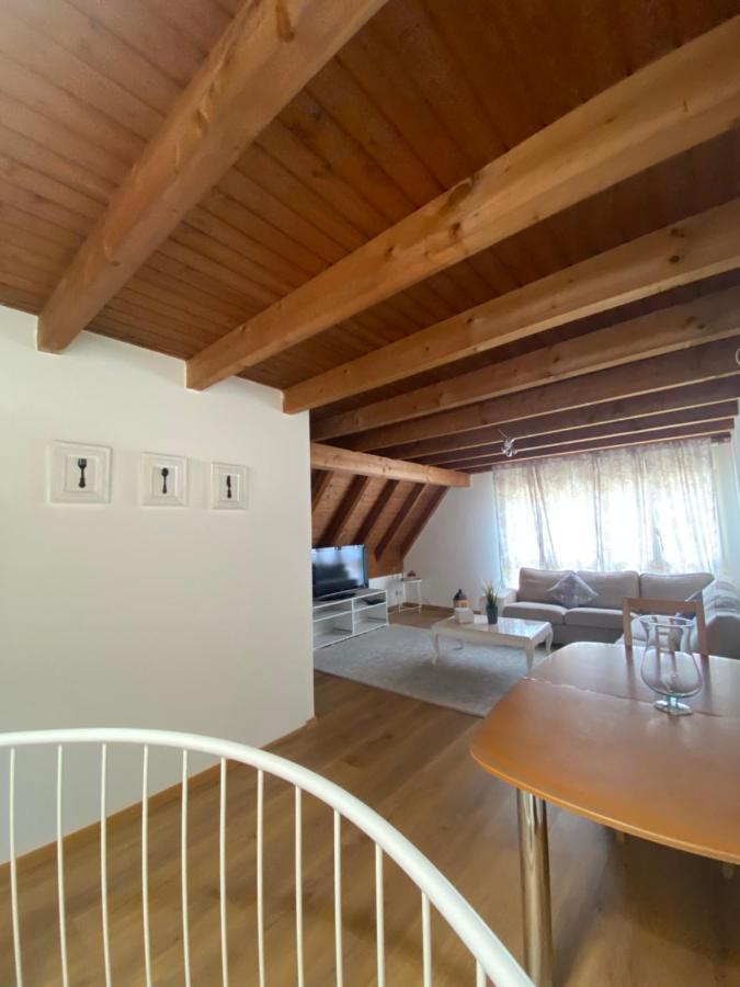 Get Cozy Family Flat Zurich