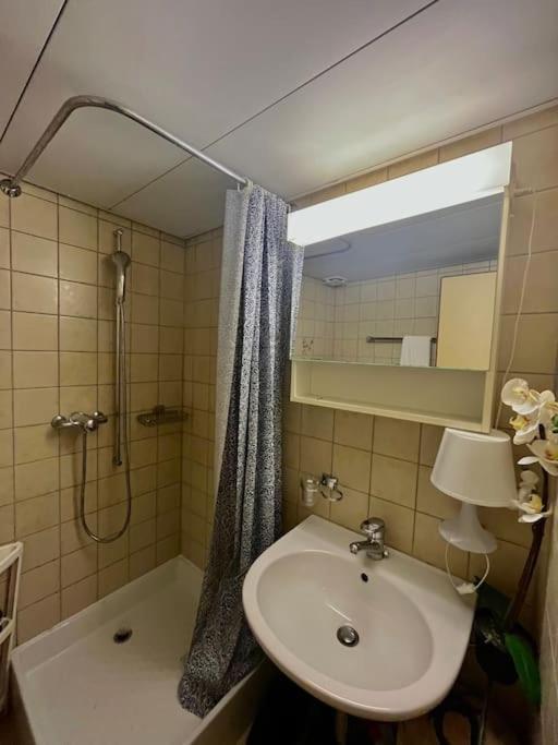 Apartment Near Station Zurich