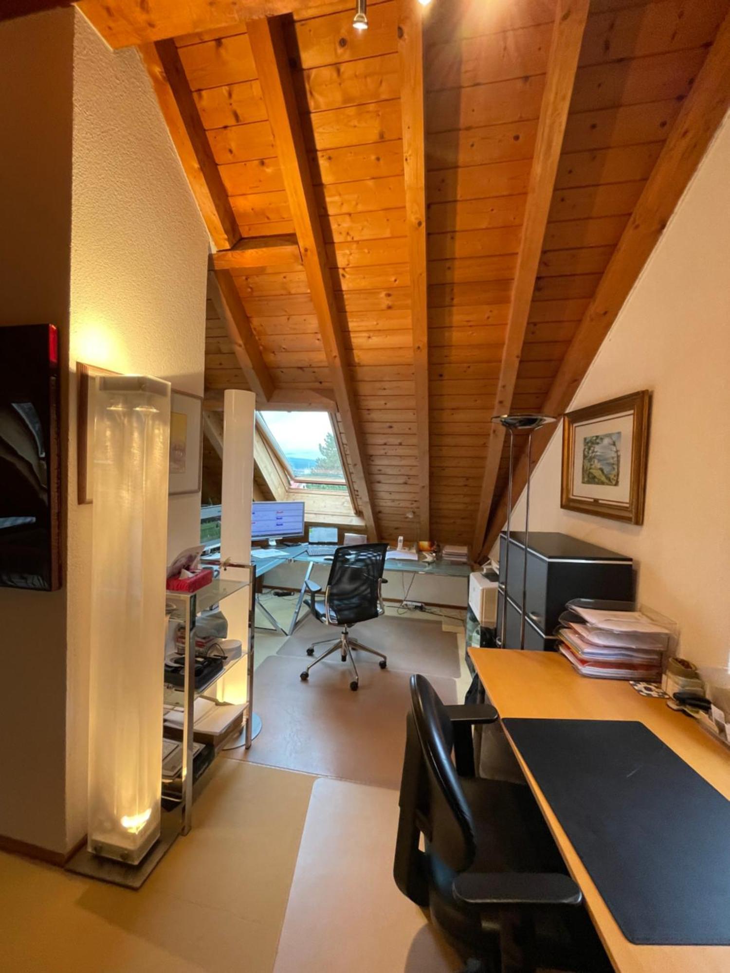 Apartment Spacious And Stylish In Zurich