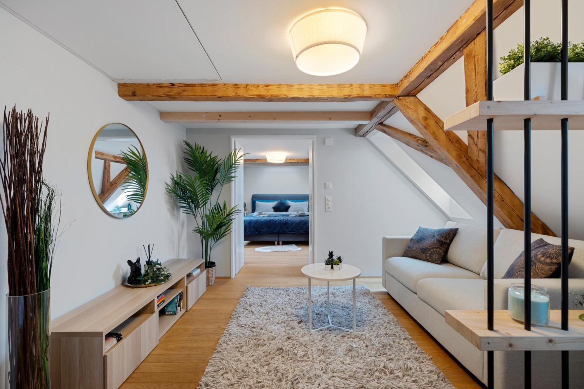 Boutiquepenthouse / Freeparking / Kingsuite / Privaterooftopterrace Apartment Zurich