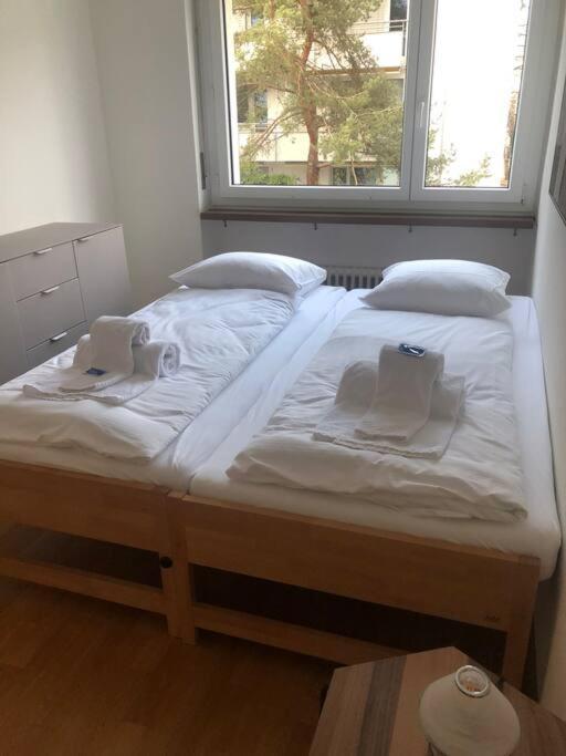Apartment Cozy And Sunny 2br Flat In The Centre - Sky10 Zurich