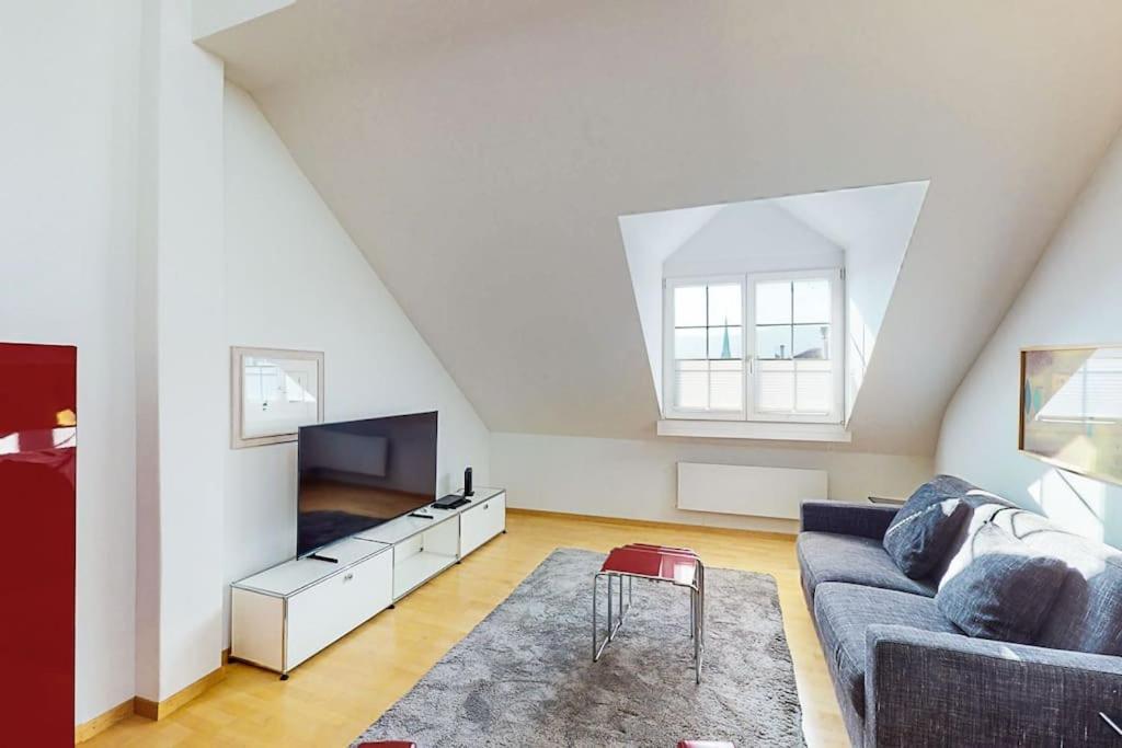 Maisonette Penthouse In Old Town - Uz10 Zurich