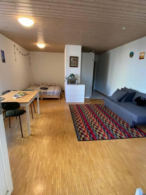 Urban Retreat - Cozy Studio With Private Patio Apartment Zurich