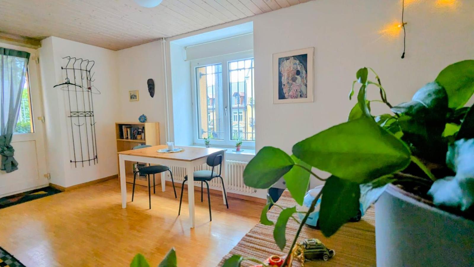 Urban Retreat - Cozy Studio With Private Patio Apartment Zurich