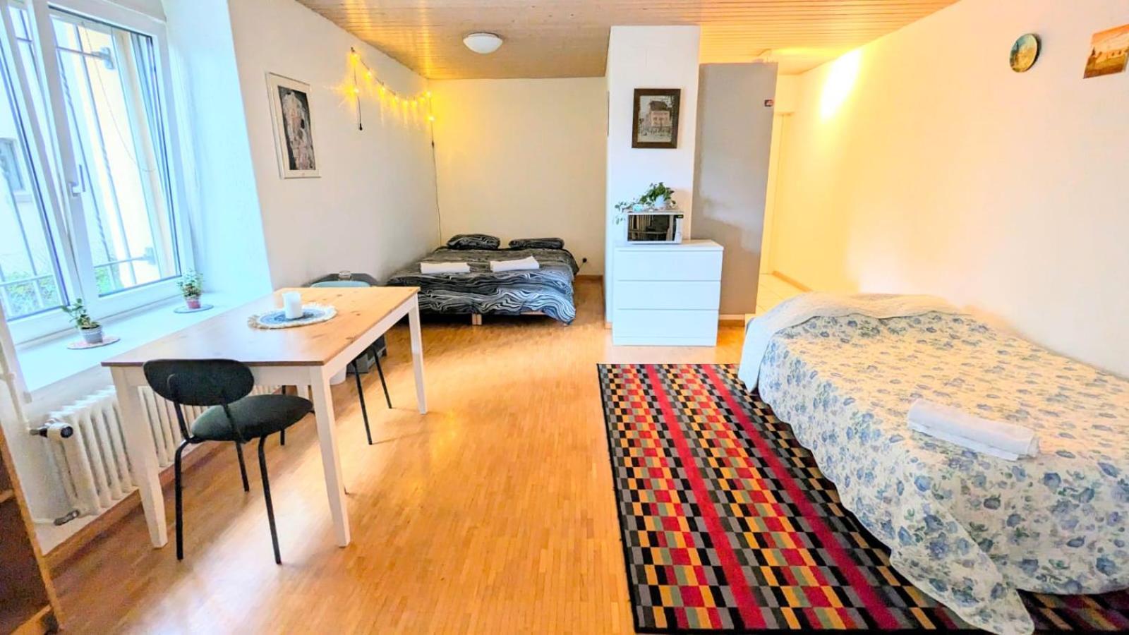Urban Retreat - Cozy Studio With Private Patio Apartment Zurich