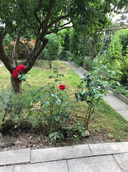 4,5-zimmer Einfamilienhaus