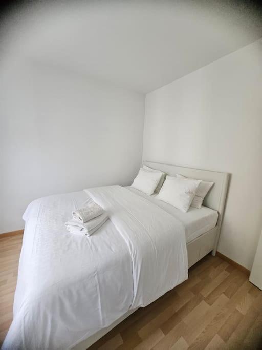 Cozy 2 Room- Center Apartment Zurich