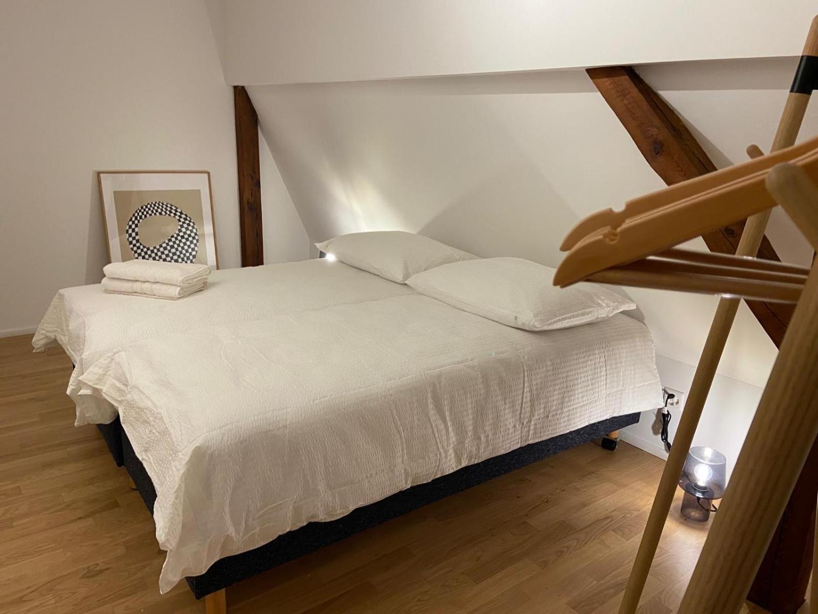 3 Bedroom Duplex In Wiedikon