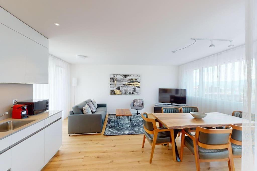 Stylish Penthouse In The City - Sun 17 Apartment Zurich