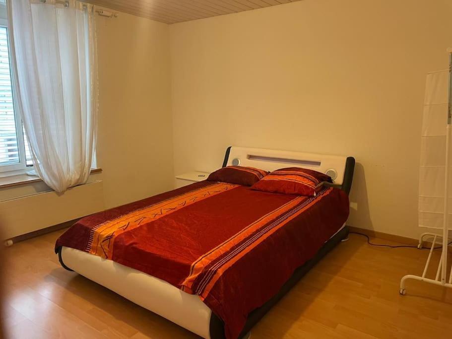 Gemuetlich Und Zentral Apartment