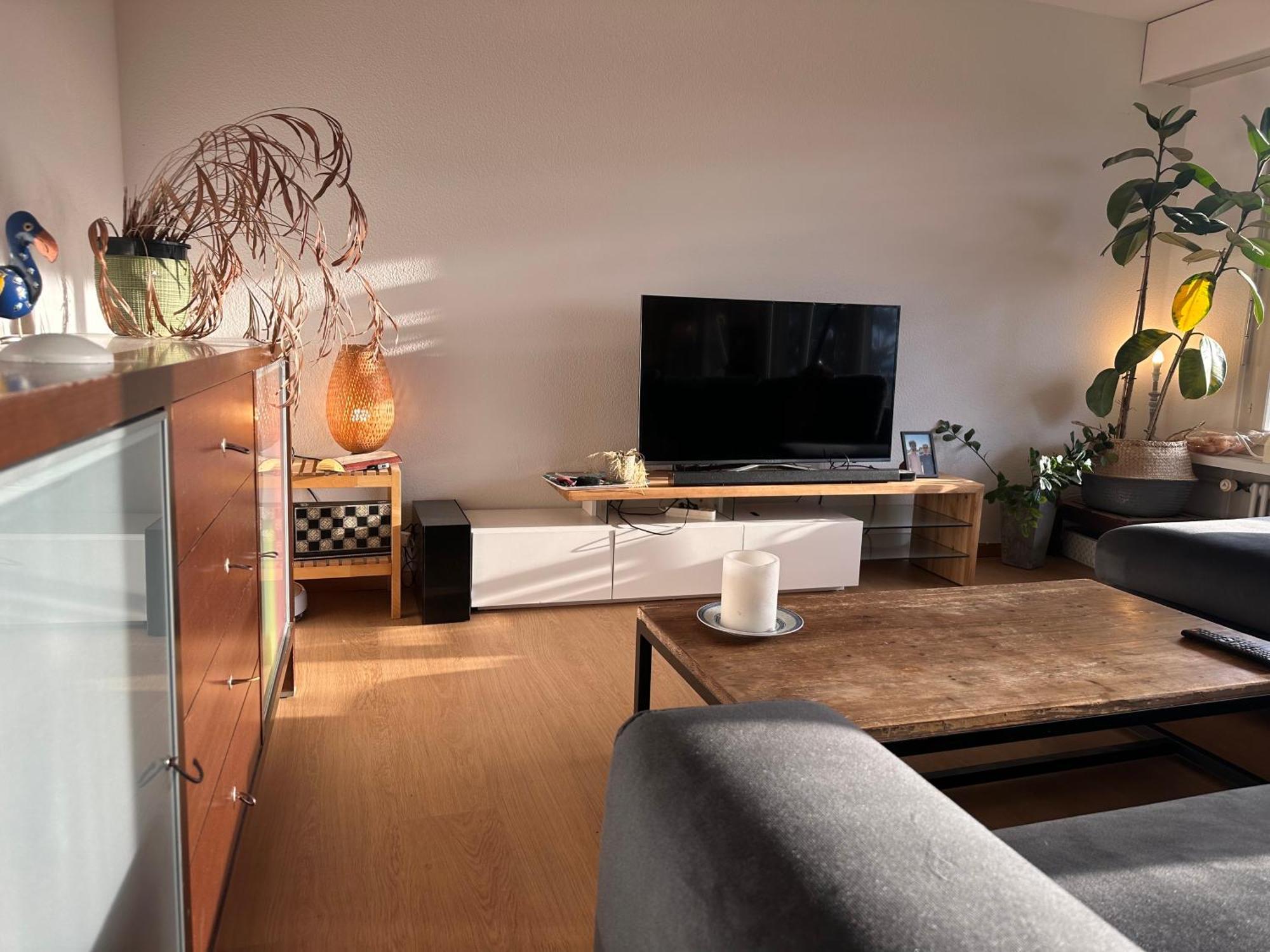 Lovely Room, 15 Min From Center, Mountain View * Zurich
