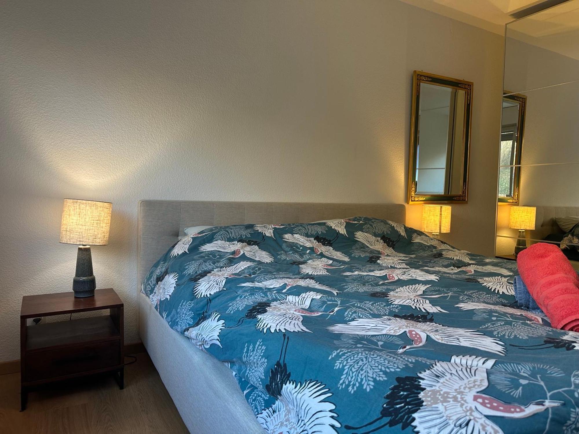 Lovely Room, 15 Min From Center, Mountain View Homestay Zurich