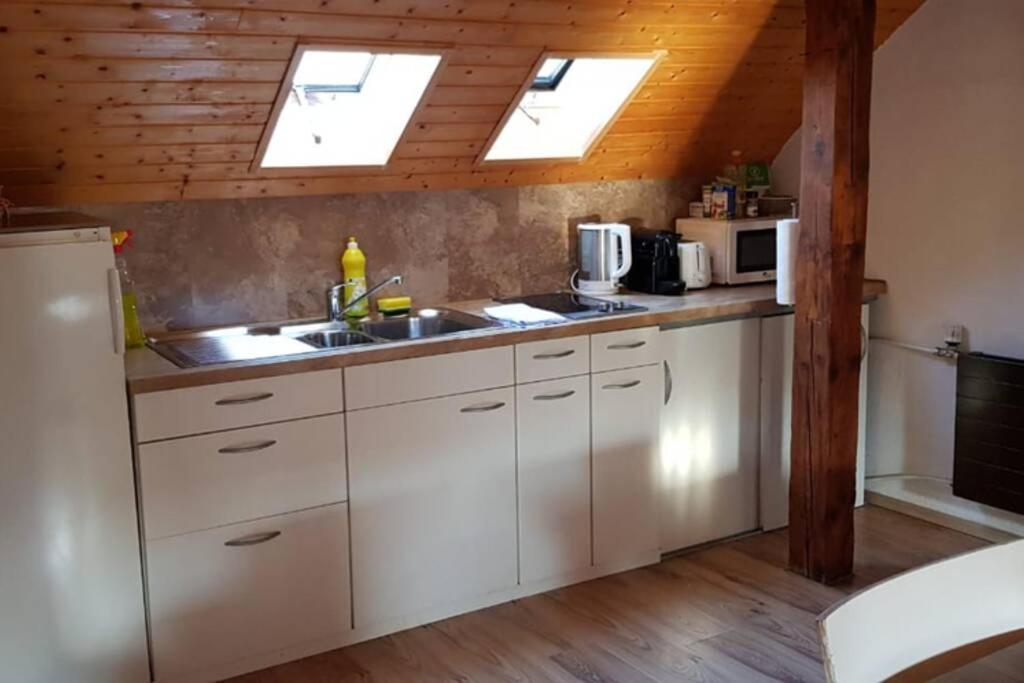 Cozy With Roof Terrace For 3 * Zurich