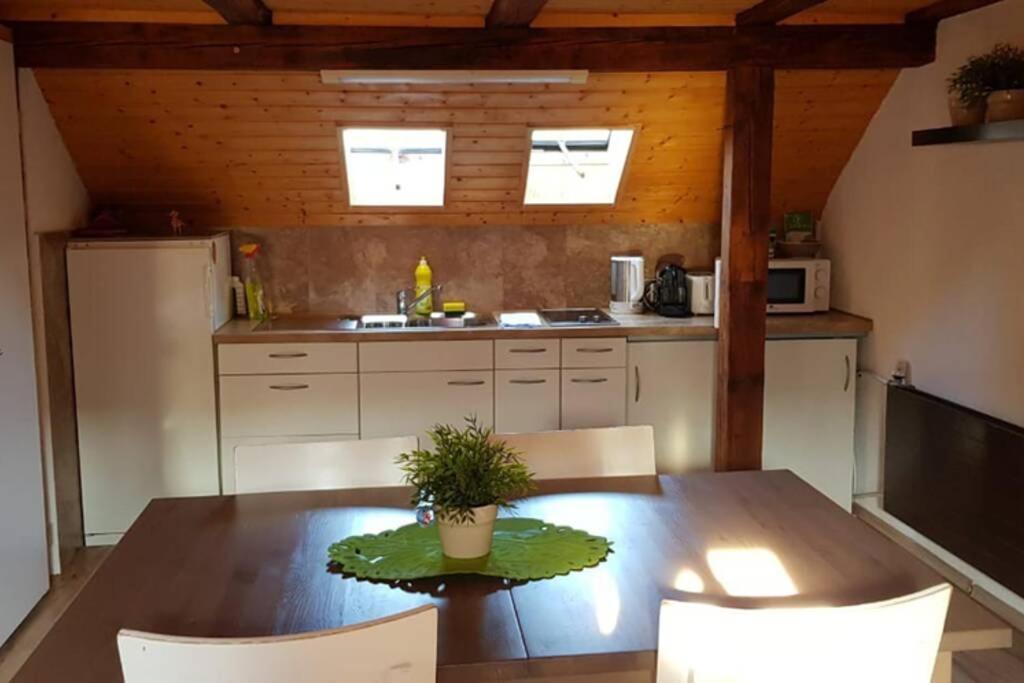 Cozy With Roof Terrace For 3