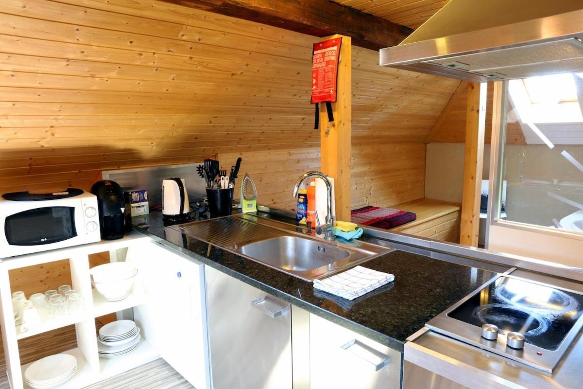 Attic Loft With Rooftop Terrace! Apartment Zurich