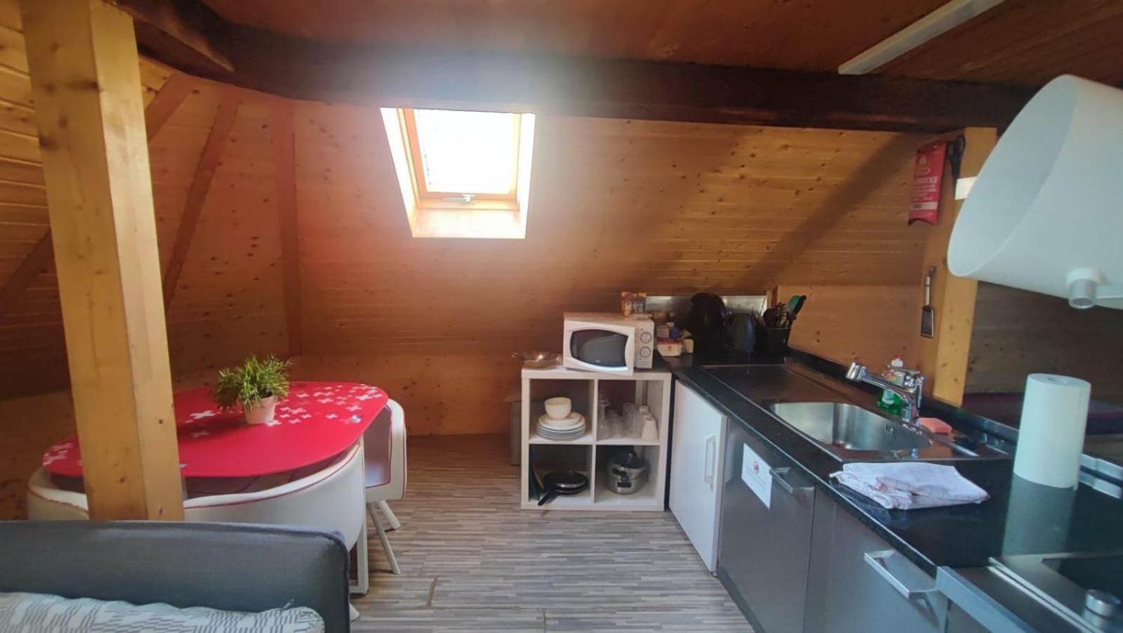 Attic Loft With Rooftop Terrace! * Zurich