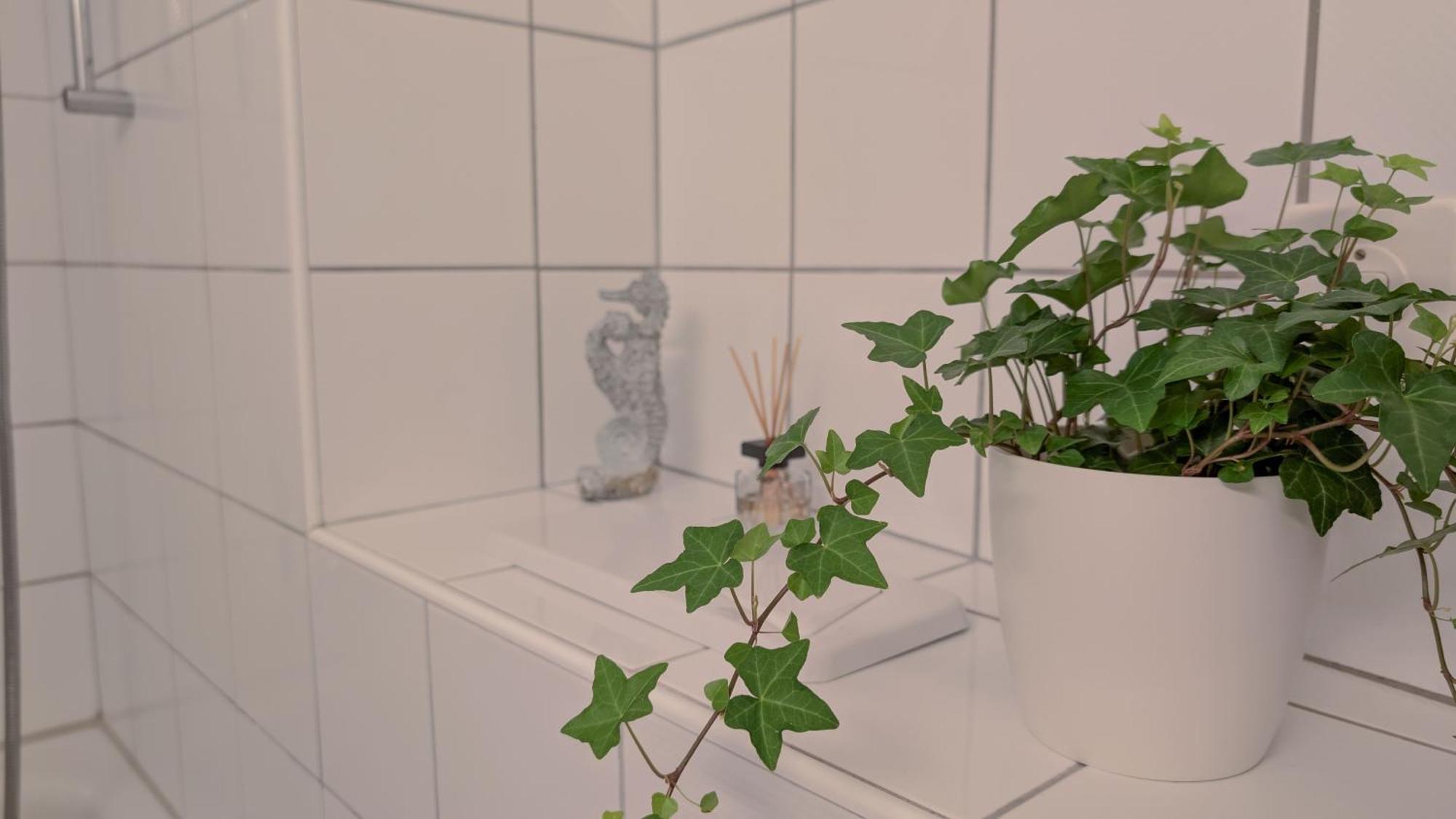 Apartment Relaxing Balcony 10min To Main Station In Old Town Zurich