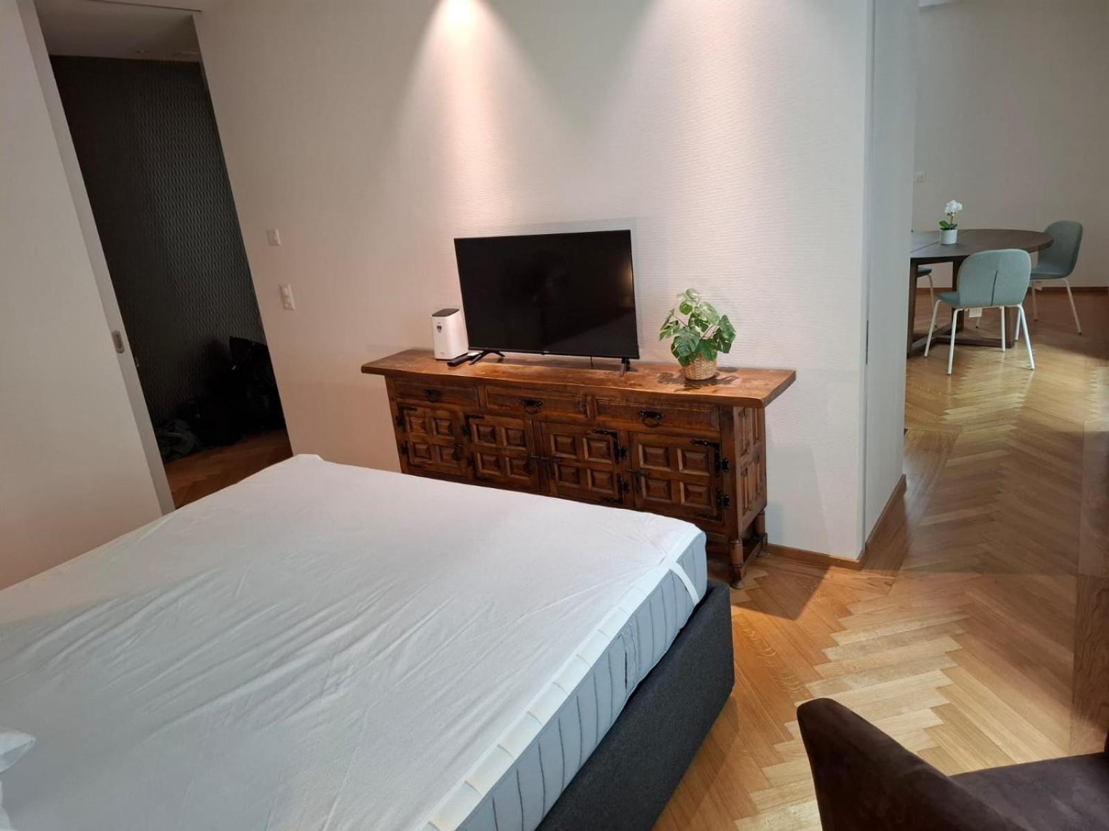 Apartment Station Apartment, 2 Bedroom & Sofabed Zurich
