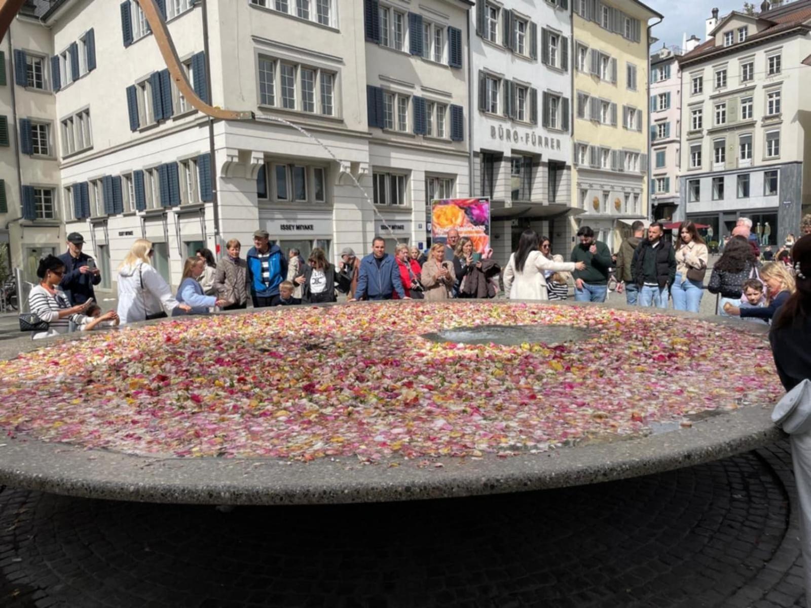 Cozy In * Zurich