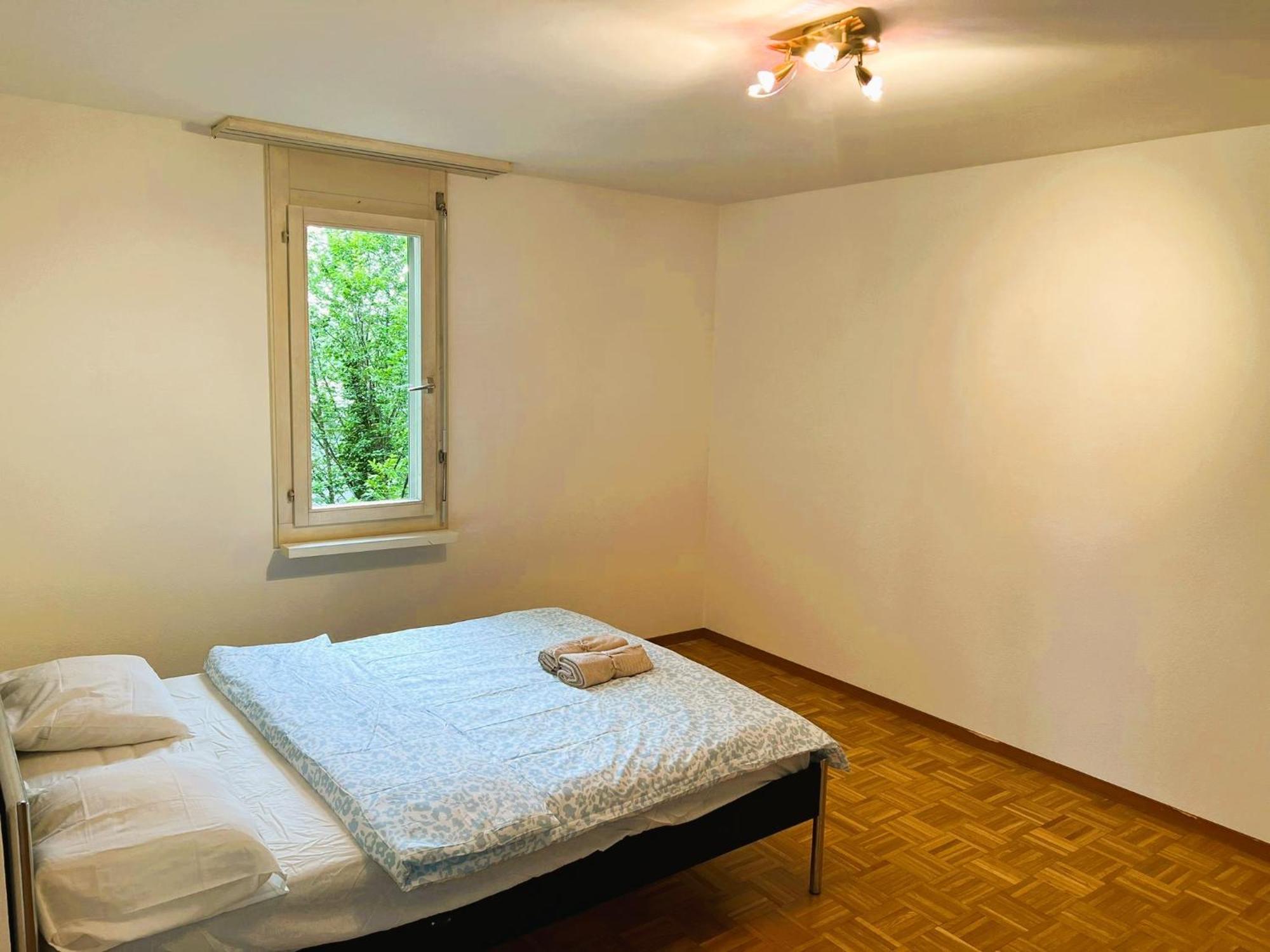 4 Flat - 3 Bedroom, Balcony With View Hwa5 Apartment Zurich