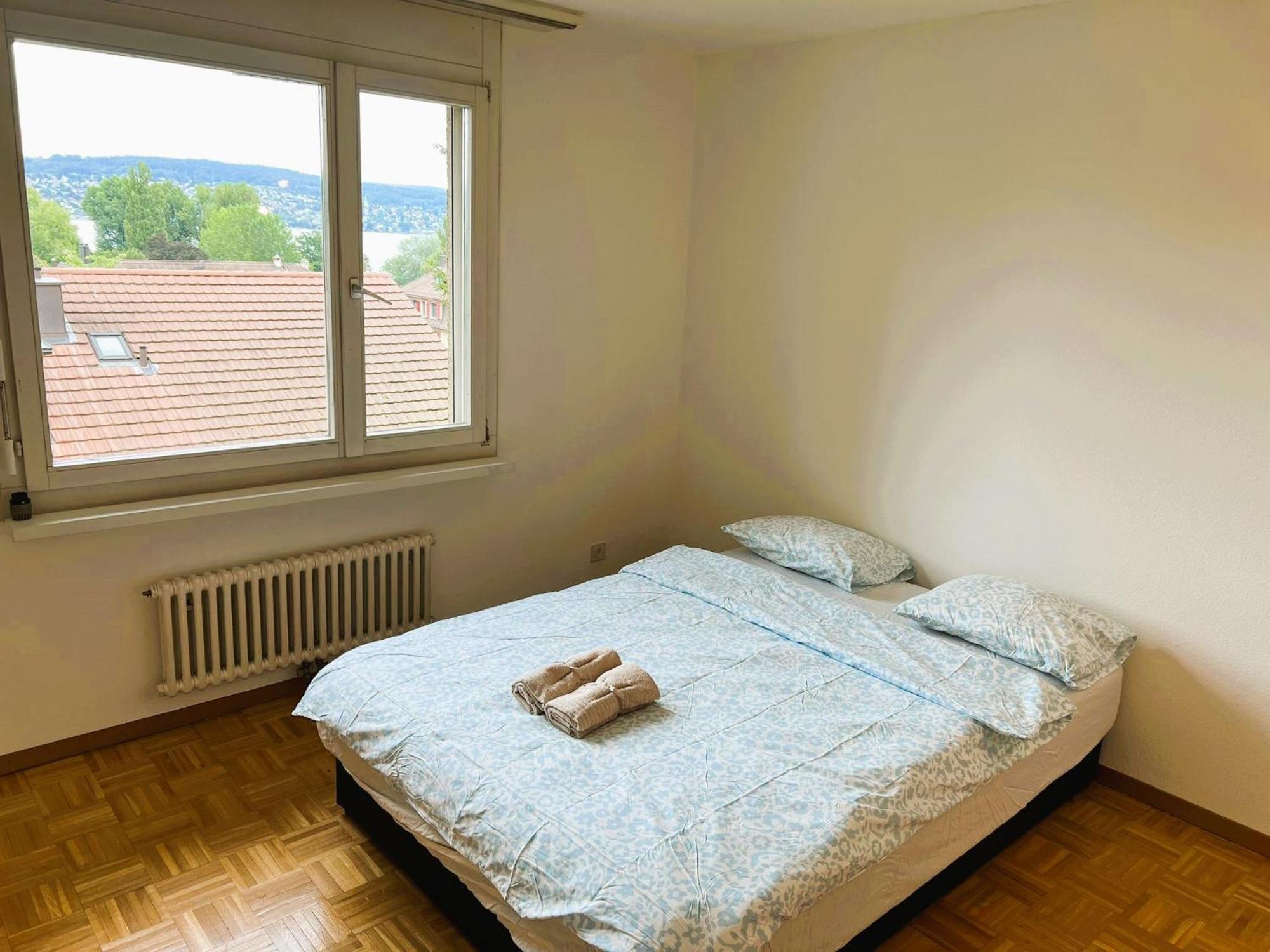 4 Flat - 3 Bedroom, Balcony With View Hwa5 Apartment Zurich
