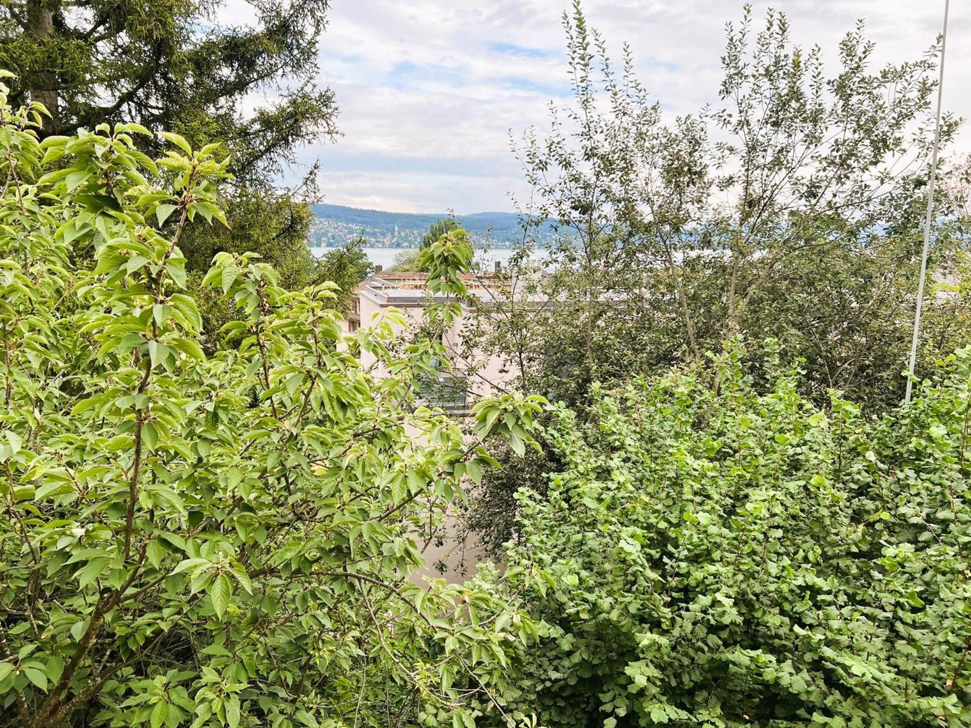 Apartment 4 Flat - 3 Bedroom, Balcony With View Hwa5 Zurich