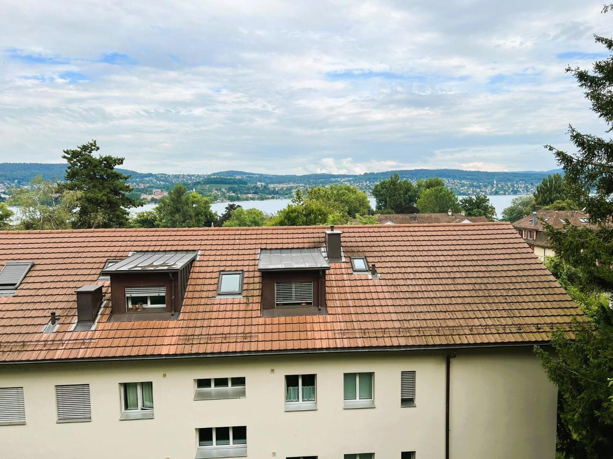 4 Flat - 3 Bedroom, Balcony With View Hwa5 Zurich