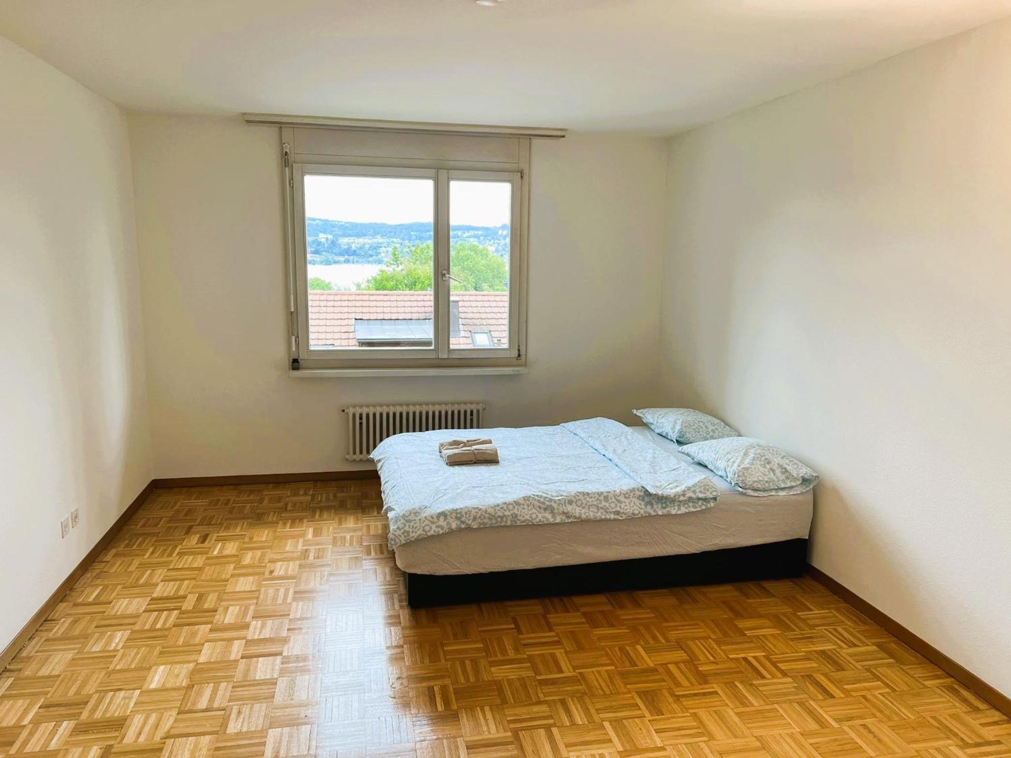 4 Flat - 3 Bedroom, Balcony With View Hwa5 Zurich