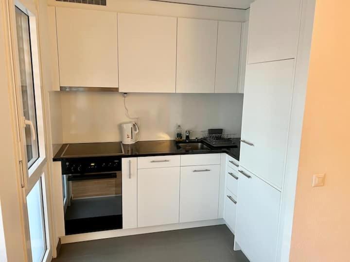 Brand New Center Downtown Apartment, Brauer - Self Checkin Apartment Zurich