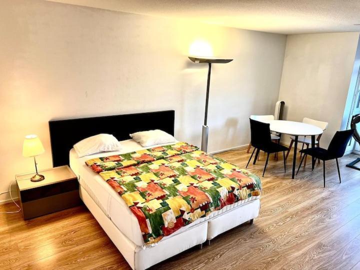 Apartment Brand New Center Downtown Apartment, Brauer - Self Checkin Zurich