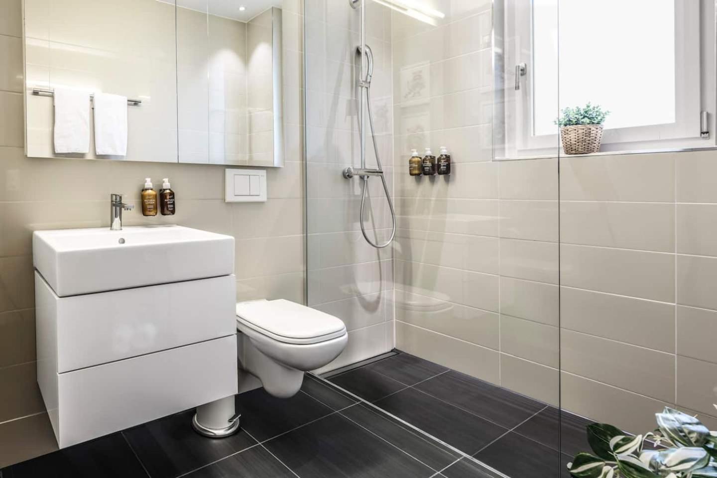 Apartment Boutiqueluxury Balcony Ac Downtown Zurich