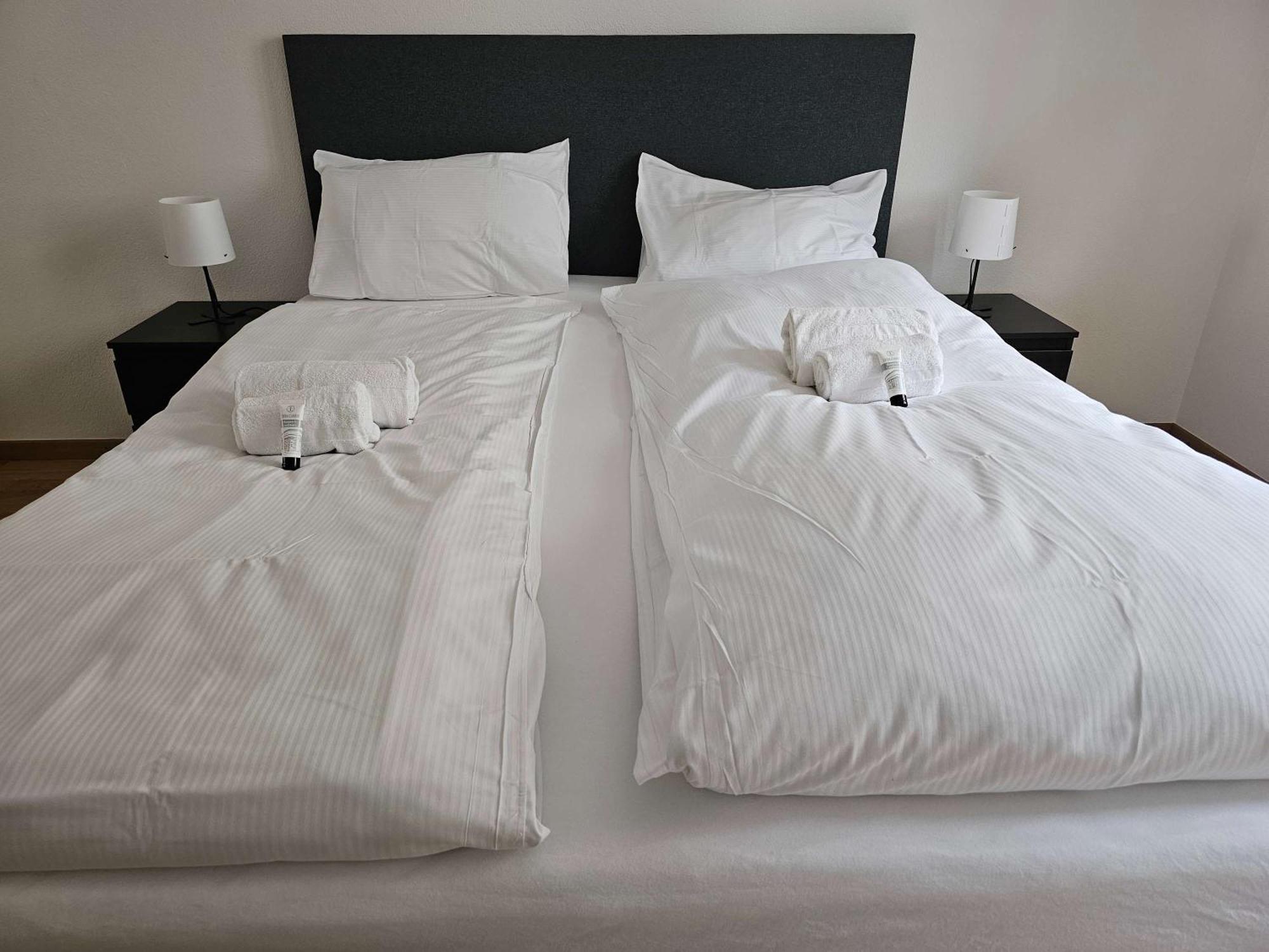 Downtown Dream 3 5br With Balcony And Style Ba21 Zurich