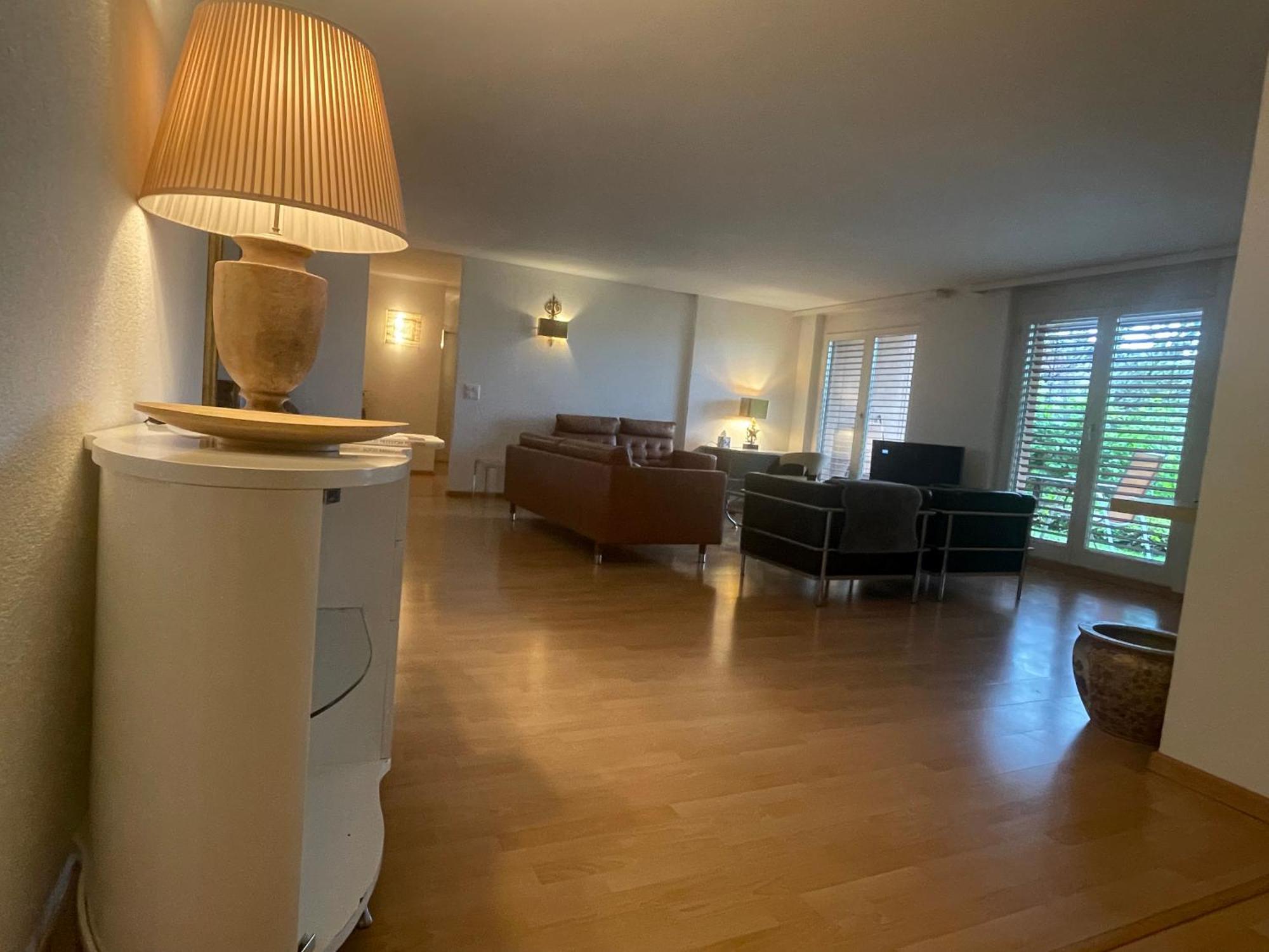 Centrally Located, Spacious Modern Apartment