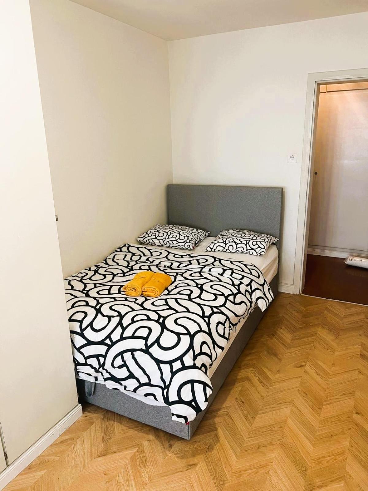 3 Old Town Flat, Munster - Self Checkin - New Apartment Zurich