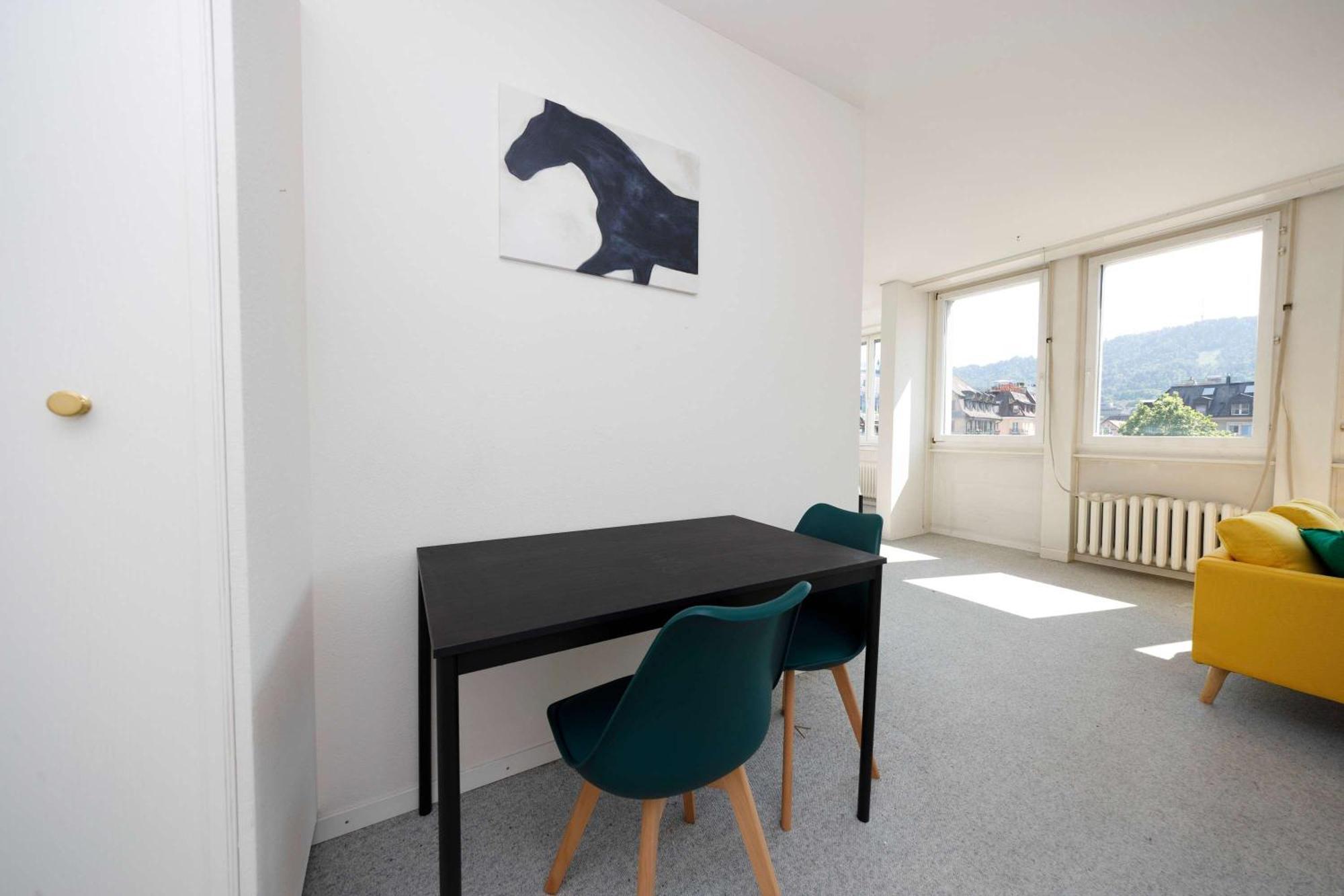 Apartment Basic & Cozy & Walkable Zurich