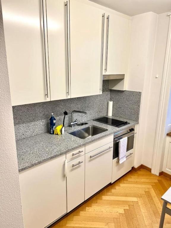 Apartment Amazing In The Heart Of Old Town Glocken - Self Checkin Zurich
