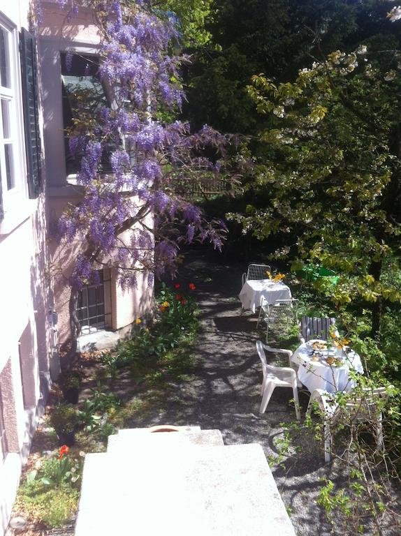 Garden Studio Zurichberg Apartment *