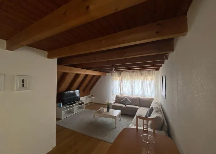 Get Cozy Family Flat Zuerich