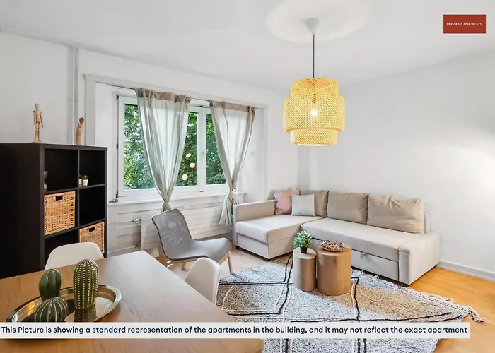 Basic 3Br Flat With Balcony In Zurich
