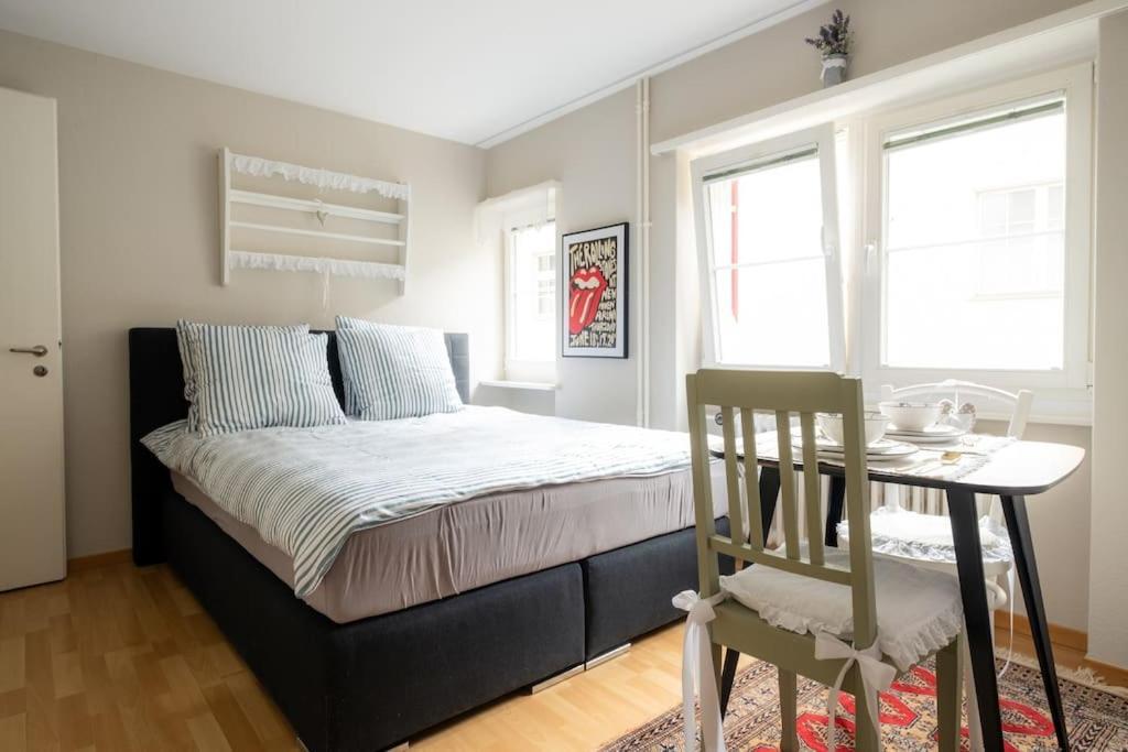 Apartment Im Herzen Der Zuercher Altstadt Zurich
